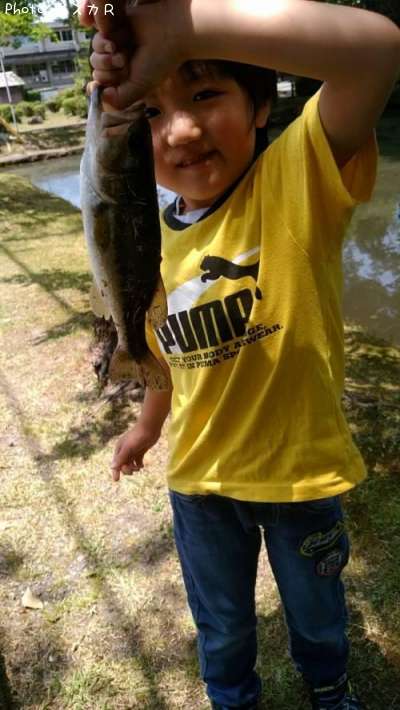 �顼���ޥ����Х�