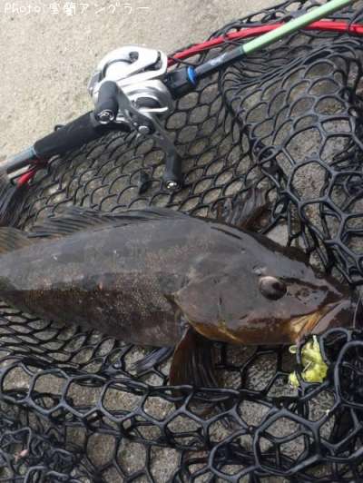 �����ʥ�