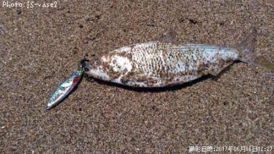 ���Υ���