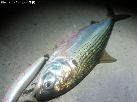 ���Υ���