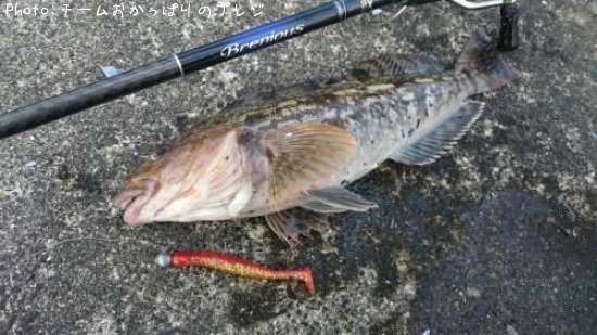 �����ʥ�