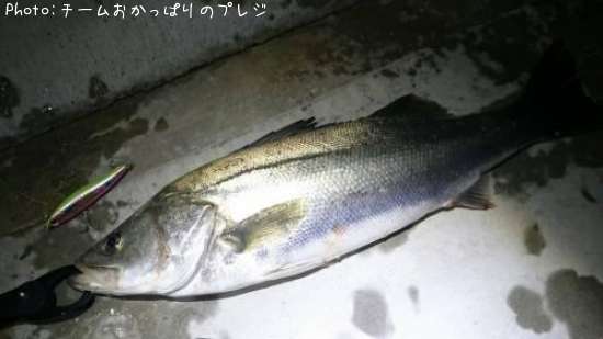 �����Х�