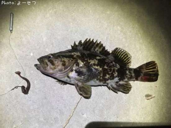 �����Υ���Х�