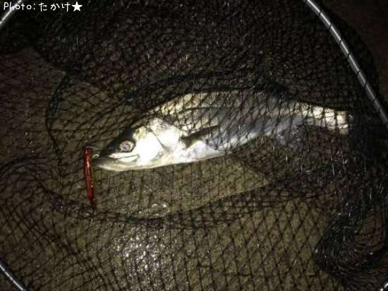 �����Х�