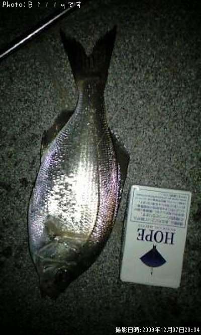 �����ʥ�