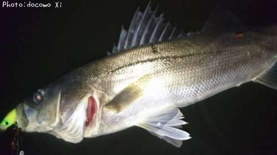 �����Х�