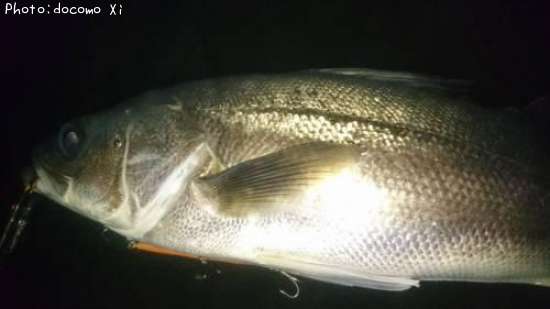 �����Х�