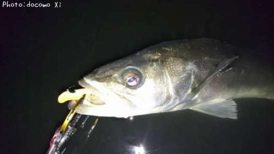 �����Х�