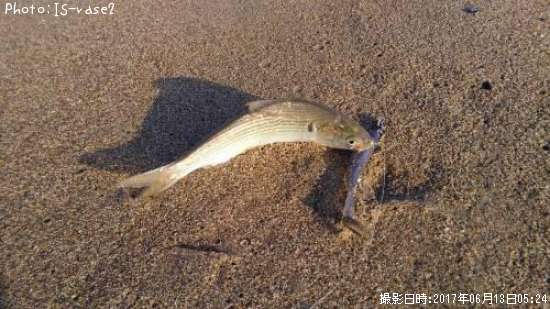 ���Υ���