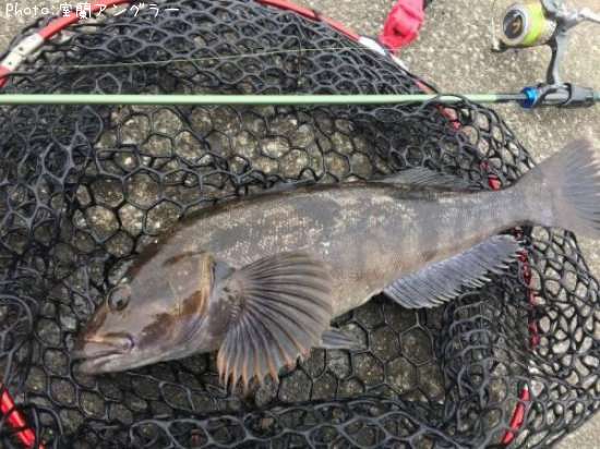 �����ʥ�