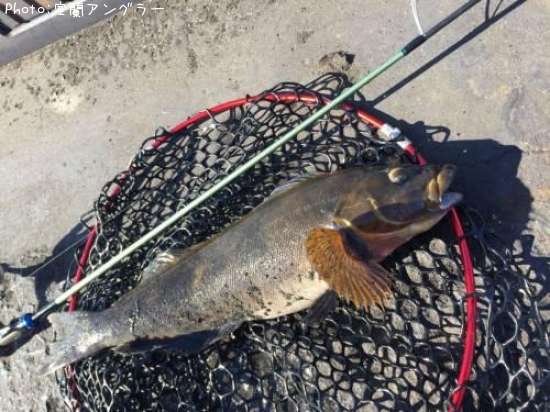 �����ʥ�