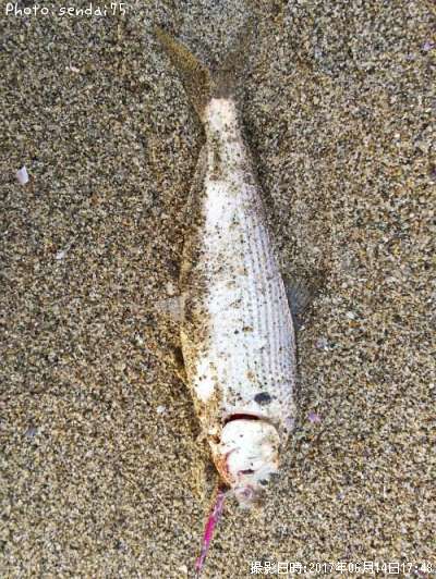 ���Υ���