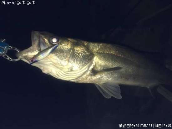 �����Х�