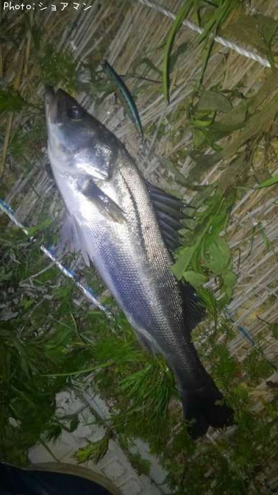 �����Х�