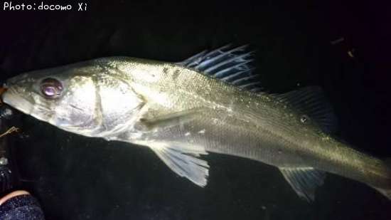 �����Х�