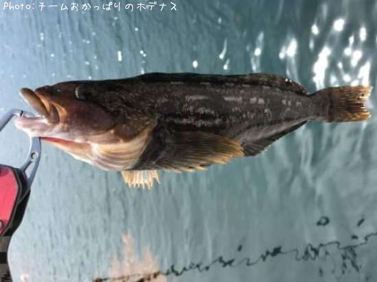 �����ʥ�