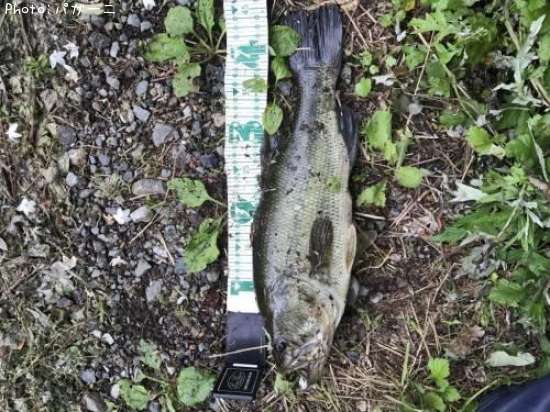 �֥�å��Х�