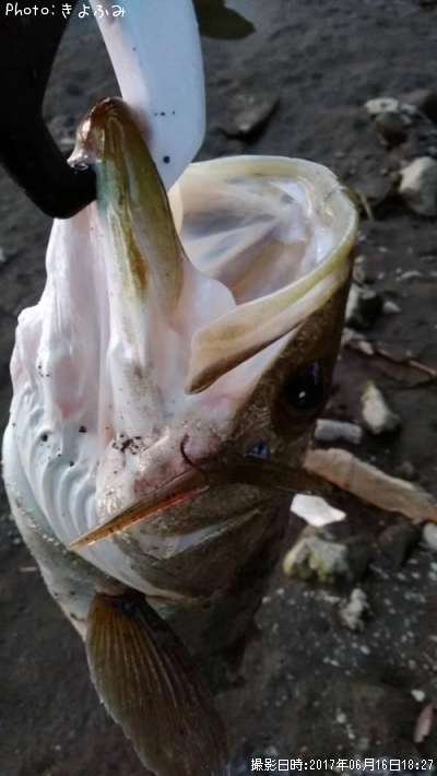 �����Х�