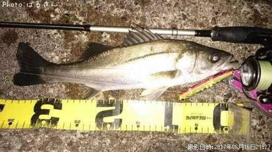 �����Х�