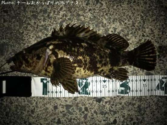 �����Υ���Х�