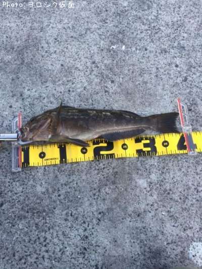 �����ʥ�