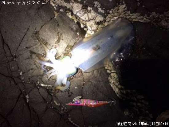 �����ꥤ��