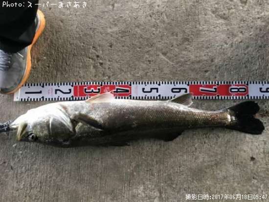 �����Х�