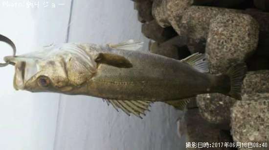 �����Х�