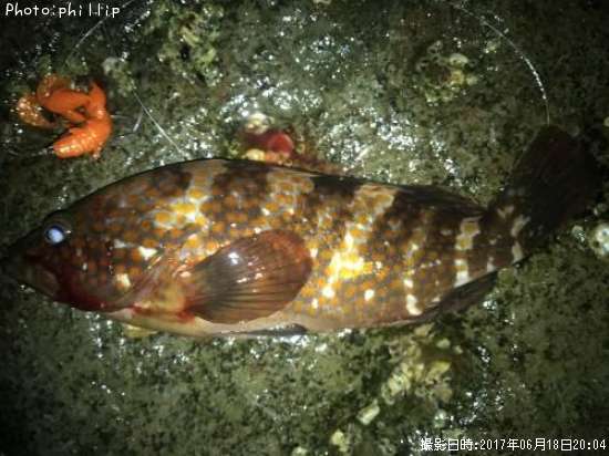 �����ϥ�