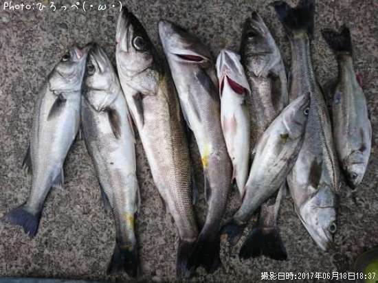 �����Х�