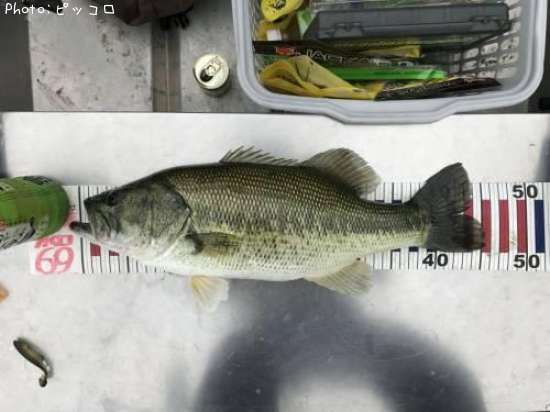 �֥�å��Х�