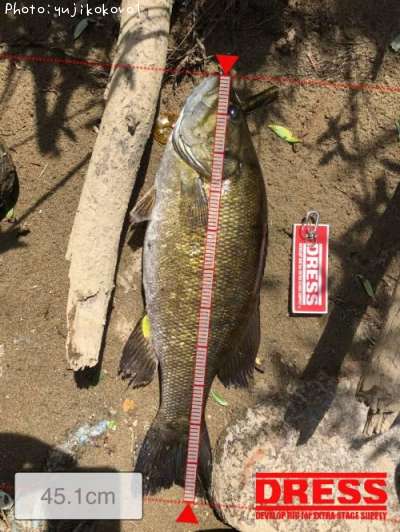 �֥�å��Х�