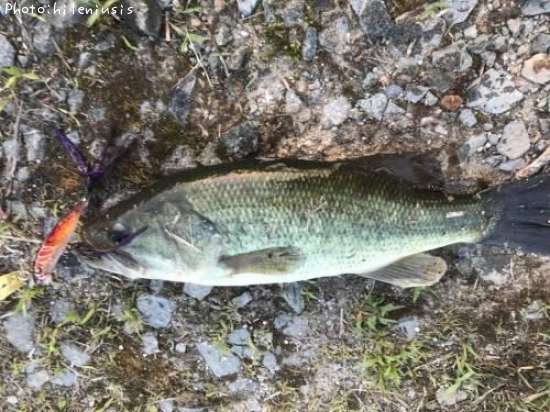 �֥�å��Х�