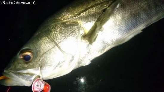 �����Х�