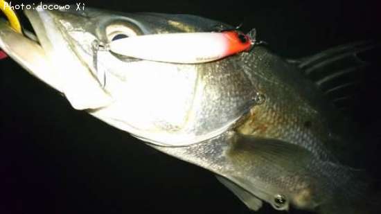 �����Х�