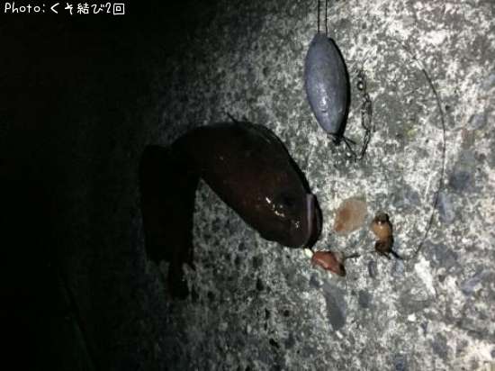 �ɥ�����