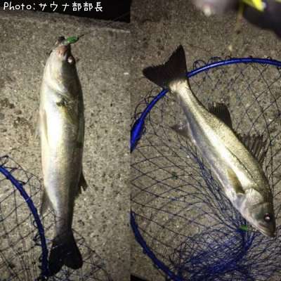 �����Х�