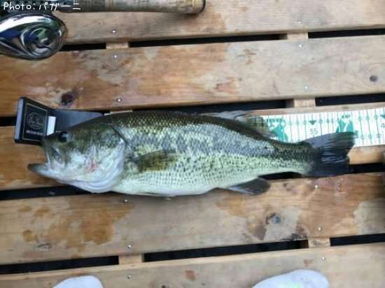 �֥�å��Х�