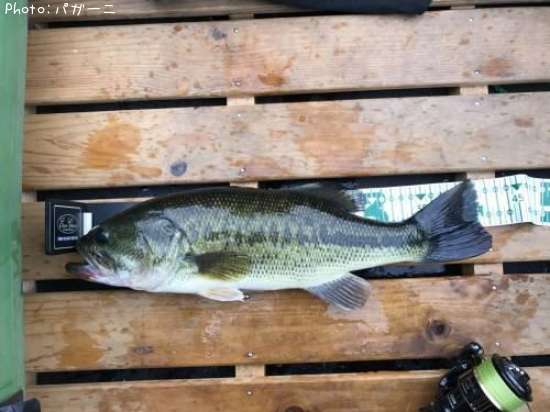 �֥�å��Х�