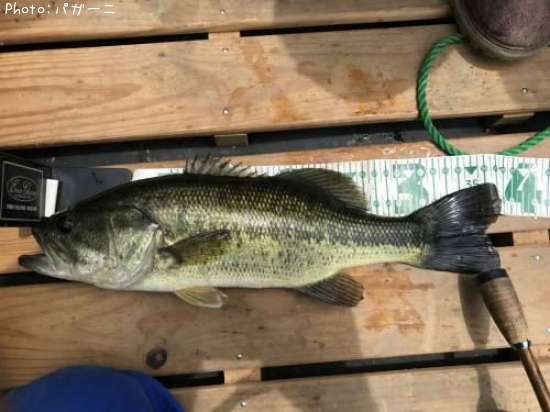 �֥�å��Х�