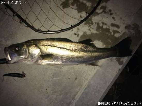 �����Х�