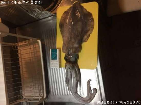 �����ꥤ��