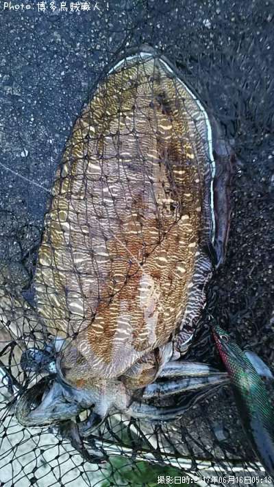 ���ߥʥꥤ��