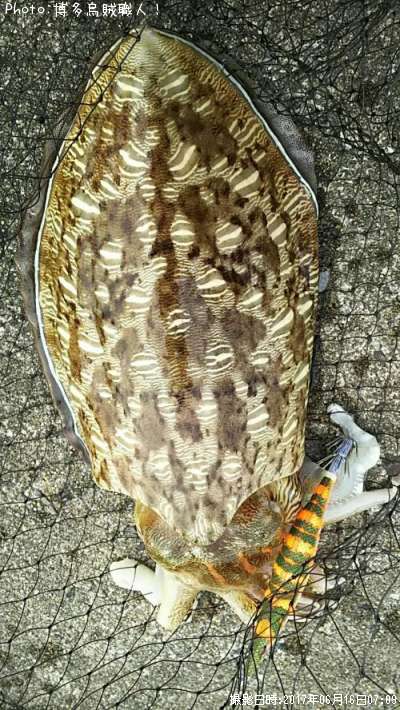 ���ߥʥꥤ��