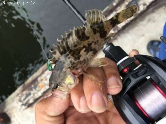 �����Υ���Х�