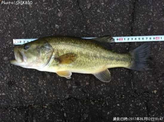 �֥�å��Х�