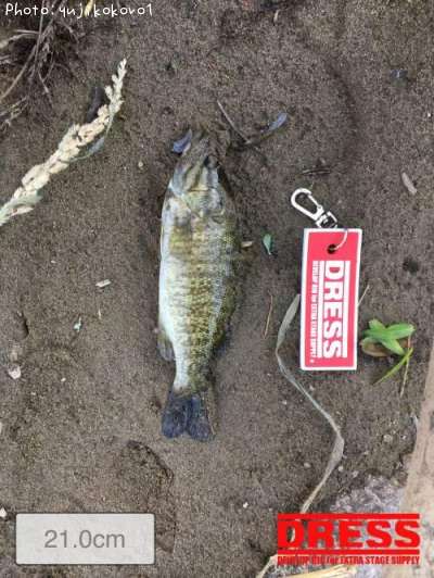 �֥�å��Х�