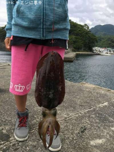 �����ꥤ��