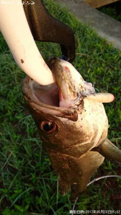 �����Х�