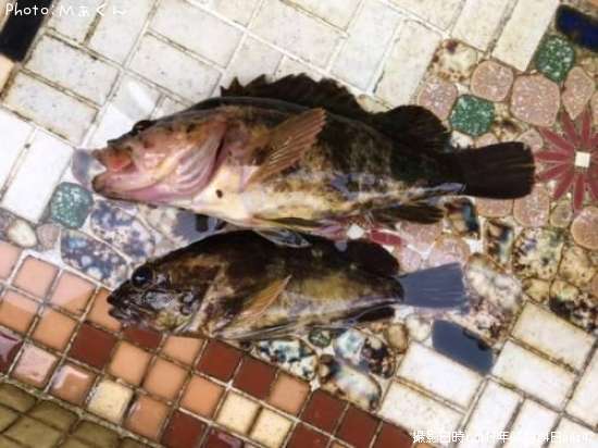 �����Υ���Х�ȥ�����